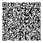 QR image